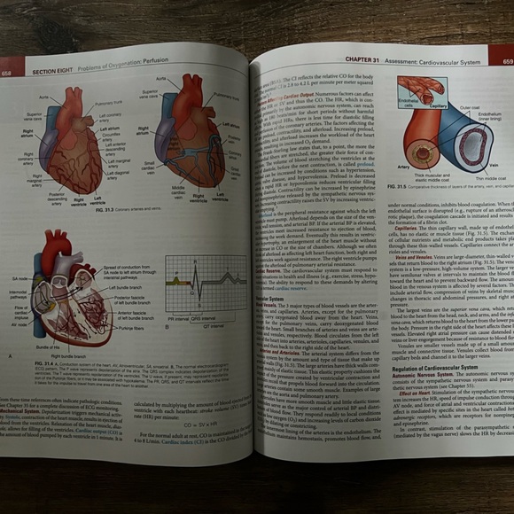 Lewis’ Medical- Surgical Nursing 11th edition. NCLEX prep, Evolve, Elsevier - Picture 2 of 4